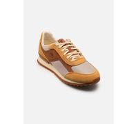 Timberland Scout Heights Low Lace Up Schuhe beige orange - 42