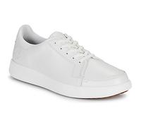 Timberland Emerson Street Sportschuhe EU 42 White Full Grain