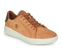 Timberland Sneaker Seneca Bay Oxford in Braun 41