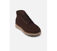 Timberland - Stiefeletten & Boots Britton Mills Mid Lace Up Chukka - Braun - Größe 44 1/2