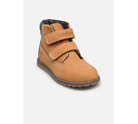 Klettboot TIMBERLAND "Pokey Pine H&L" Gr. 24, gelb (wheat, nubuck) Damen Schuhe (53695322-24) wheat, nubuck