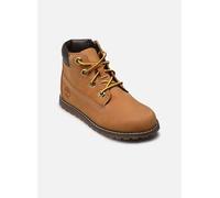Timberland Kids Mid Lace UP With Zip Boot wheat 8
