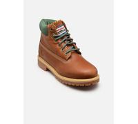 Timberland - Stiefeletten & Boots PREM 6 IN LACE WATERPROOF BOOT WHEAT - Braun - Größe 34