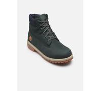 Timberland - Stiefeletten & Boots Timberland Premium 6 Inch Lace Up Waterp - Grün - Größe 39