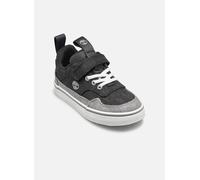 Timberland - STONE JUMP LOW HOOK & LOOP SNEAKER B - Grau - Sneaker - Größe 24