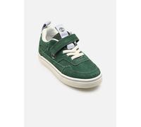 Timberland Stone Jump Low Hook&loop Kleinkinderschuhe
