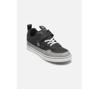 Timberland Kids Low Hook & Loop Sneaker dk grey canvas 4