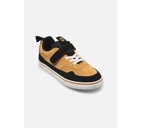Timberland Kids Low Hook & Loop Sneaker wheat suede 13
