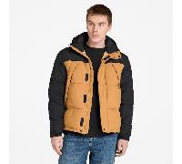 Timberland - Strapazierfähige, wasserabweisende Steppjacke für Herren in Schwarz/Gelb, Herren, Schwarz, Größe: S
