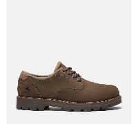 Timberland Mens Lace UP Waterproof Shoe dark brown nubuck 10.5