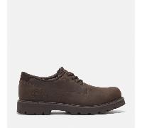 Timberland - Wasserfester Britton Road Schuh für Herren in Dunkelbraun, Herren, Braun, Größe: 44.5