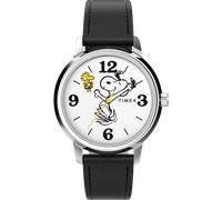 Timex Watch TW2Y19900