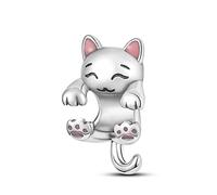 TINSLO Charm Anhänger Damen 925 Sterling Silber für Armband Charms Beads passend für Pandora Armband und Halskette, Kompatibel mit Europäischen Armbänder für Frauen Mädchen