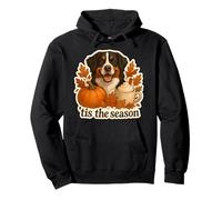 Tis The Season Berner Sennenhund Herbst Herbst Kürbis niedlich Pullover Hoodie