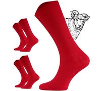 TODO 2 Paar DIABETIKER SOCKEN MERINO ohne Gummibund Extra Weit Wolle Medizin DiabetikerSocken Damen (35-38, Rot)