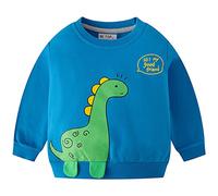 TOKYMOON Jungen Sweatshirt Kinder Dinosaurier Pullover Sweater Baumwolle T-Shirt Langarmshirt für Jungen Langarm Top Sweat Streetwear Jungen Pullover Kinder Blau+grün 104-110