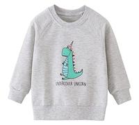 TOKYMOON Jungen Sweatshirt Kinder Warme Pullover Baumwolle Activewear Kinder Dinosaurier Pullover Digger T-Shirt Langarmshirt für Kinder Jungen Sweatshirt Pullover 1-7 Jahre Einhorn 4T