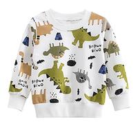 TOKYMOON Jungen Sweatshirt Kinder Warme Pullover Jumper Oberbekleidung 1-7 Jahre Dinosaurier Pullover T-Shirt Langarmshirt für Jungen Langarm Top Sweat Streetwear Weiß Dinosaurier 104-110