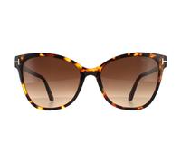 Tom Ford Cat Eye Damen Dunkel Havanna Braun Verlauf Einheitsgröße