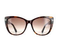 Tom Ford Cat Eye Frauen dunkel Havanna Roviex Gradient FT0937 Nora Sonnenbrille Einheitsgröße