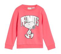 Tom Tailor 1051691 Pullover