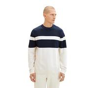 TOM TAILOR Herren 1038207 Colourblock Strick-Pullover aus Baumwolle, 32725-beige Navy Multi Structure, L