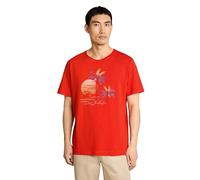 Rundhalsshirt TOM TAILOR, Herren, Gr. L, rot (orange rot), Single Jersey, Obermaterial: 100% Baumwolle, bedruckt, regular fit hüftbedeckend, Rundhals, abgesteppte Kante, Shirts Rundhalsshirt, Sommersh