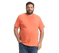TOM TAILOR Herren Plussize T-Shirt mit Rundhalsausschnitt