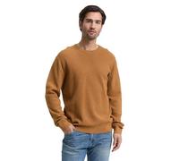 TOM TAILOR Herren Pullover