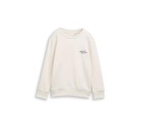 Tom Tailor Jungen 1048530 Kinder Sweatshirt mit Print (1er Pack)