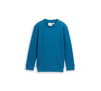 TOM TAILOR Jungen 1048531 Kinder Basic Sweatshirt mit Rückenprint (1er Pack)