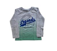 TOM TAILOR Jungen Langarmshirt mit Print , grün, zweifarbig, 92/98