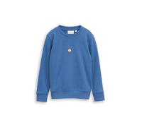 Sweatshirt TOM TAILOR, Jungen, Gr. 104/110, federal blau, Sweatware, Obermaterial: 70% Baumwolle, 30% Polyester, bedruckt, regular fit normal, Rundhals, Rippbündchen, Sweatshirts Sweatshirt, mit Print