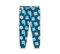 TOM TAILOR Kinder Jungen Sweatpants Hose