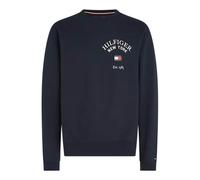Tommy Hilfiger Arched Varsity Sweatshirt Desert Sky L