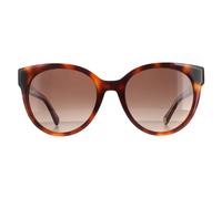 Tommy Hilfiger Cat Eye Damen Havanna Braun Gradient TH 1885/S Einheitsgröße