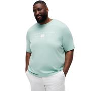 Tommy Hilfiger Herren Bt-Brand Love Mono Stack Tee-B MW0MW44053 S/S T-Shirt, Grün, 4XL