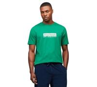 Tommy Hilfiger Herren-T-Shirts, kurzärmelig, Baumwolle, mit aufgedrucktem Logo, auch erhältlich in Big & Tall, Nouveau Green, 4XL