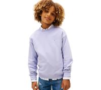 Sweatshirt TOMMY HILFIGER, Mädchen, Gr. 5 (110), periwinkle dusk, Sweatware, Obermaterial: 80% Baumwolle, 20% Polyester, unifarben, regular fit normal, Rundhals, eingesetzt Bündchen, Sweatshirts Sweat