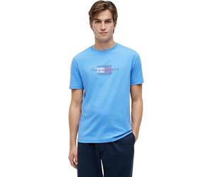 Tommy Hilfiger MW0MW43226 Script Flag Regular Tee
