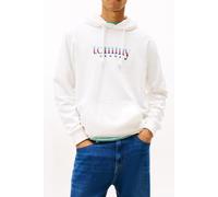 Tommy Hilfiger Regular Entry Dna Pullover Ecru Größe: M | Kaputzenpullis Outlet | Herren | Braun