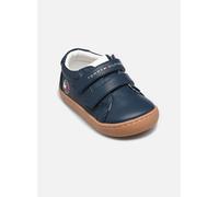 Lauflernschuh TOMMY HILFIGER, Baby, Gr. 24, blau, Synthetik, Schuhe Lauflernschuh, Barfußschuh, Halbschuh, Klettschuh mit Logoschriftzug (60068413-24) blau