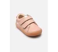 Lauflernschuh TOMMY HILFIGER, Baby, Gr. 24, beige, Synthetik, Schuhe Lauflernschuh, Barfußschuh, Halbschuh, Babyschuh mit regulierbarem Klettverschluss (24106224-24) beige