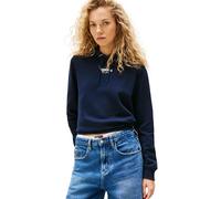 Tommy Jeans Essential Logo 2 Regular Fit Kapuzenpullover