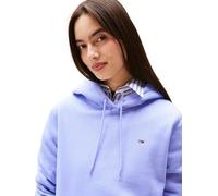 Tommy Jeans Damen Tjw Reg Flag Hoodie Dw0dw19958 Kapuzenpullover, Blue (Vintage Iris), L EU