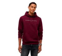 Tommy Jeans Dm0dm20746 Kapuzenpullover