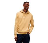 Tommy Jeans Dm0dm20746 Kapuzenpullover