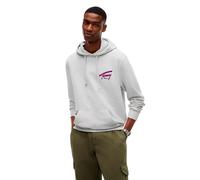 Kapuzensweatshirt TOMMY JEANS "REGULAR NYC SIGNATURE HOODIE", Herren, Gr. L, grau (ice grau heather), Sweatware, Obermaterial: 100% Baumwolle, regular fit normal, Rundhals, eingesetzt Rippbündchen, Sw