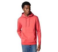 Tommy Jeans Herren Hoodie Regular Fit Flag Fleece mit Kapuze, Rot (Anthem Red), L