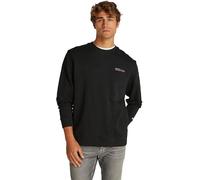 Tommy Jeans Herren TJM Reg Entry Graphic Crew EXT Dm0dm20849 Pullover-Sweatshirt, Black (Black), L EU